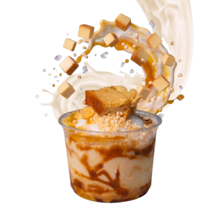 Leche Flan